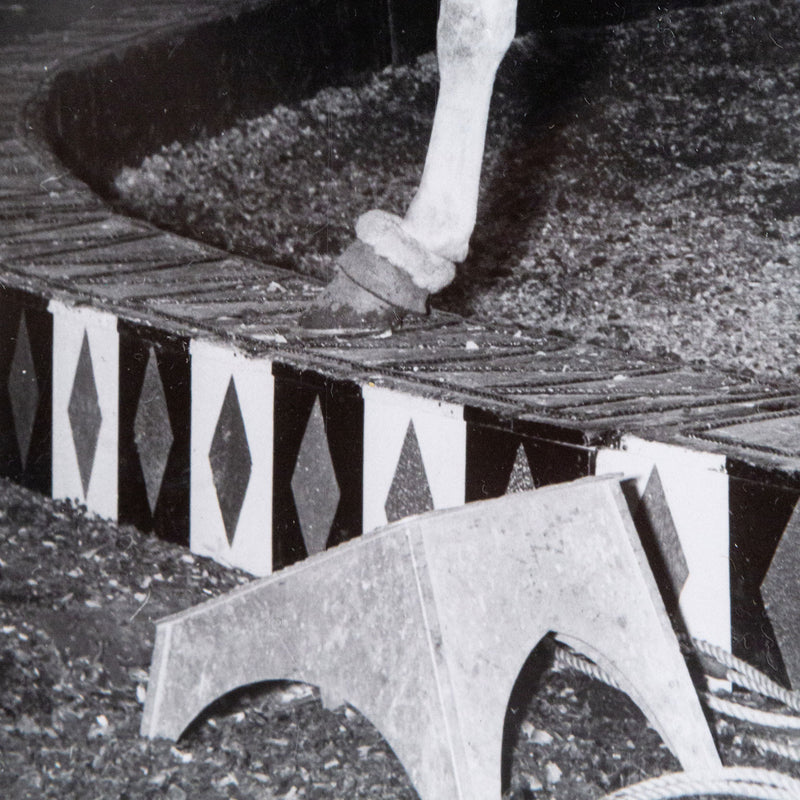 Weegee, black and white photograph, Horses, Circus, 1948