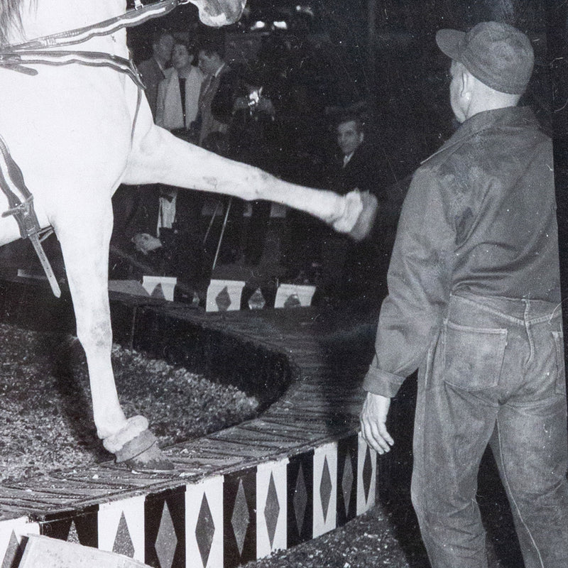 Weegee, black and white photograph, Horses, Circus, 1948