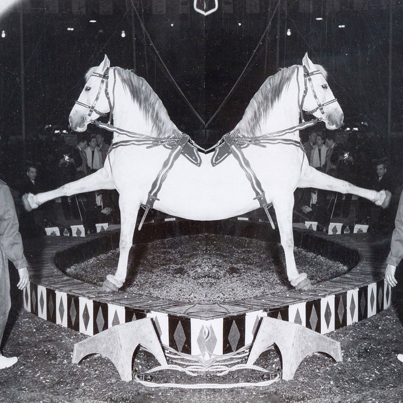 Weegee, black and white photograph, Horses, Circus, 1948