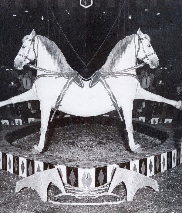 Weegee, black and white photograph, Horses, Circus, 1948