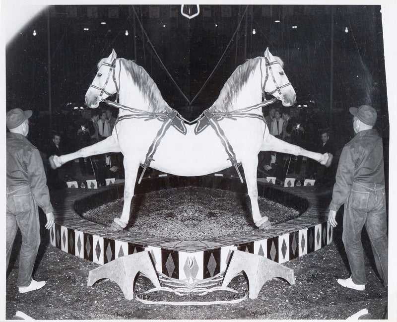 Weegee, black and white photograph, Horses, Circus, 1948