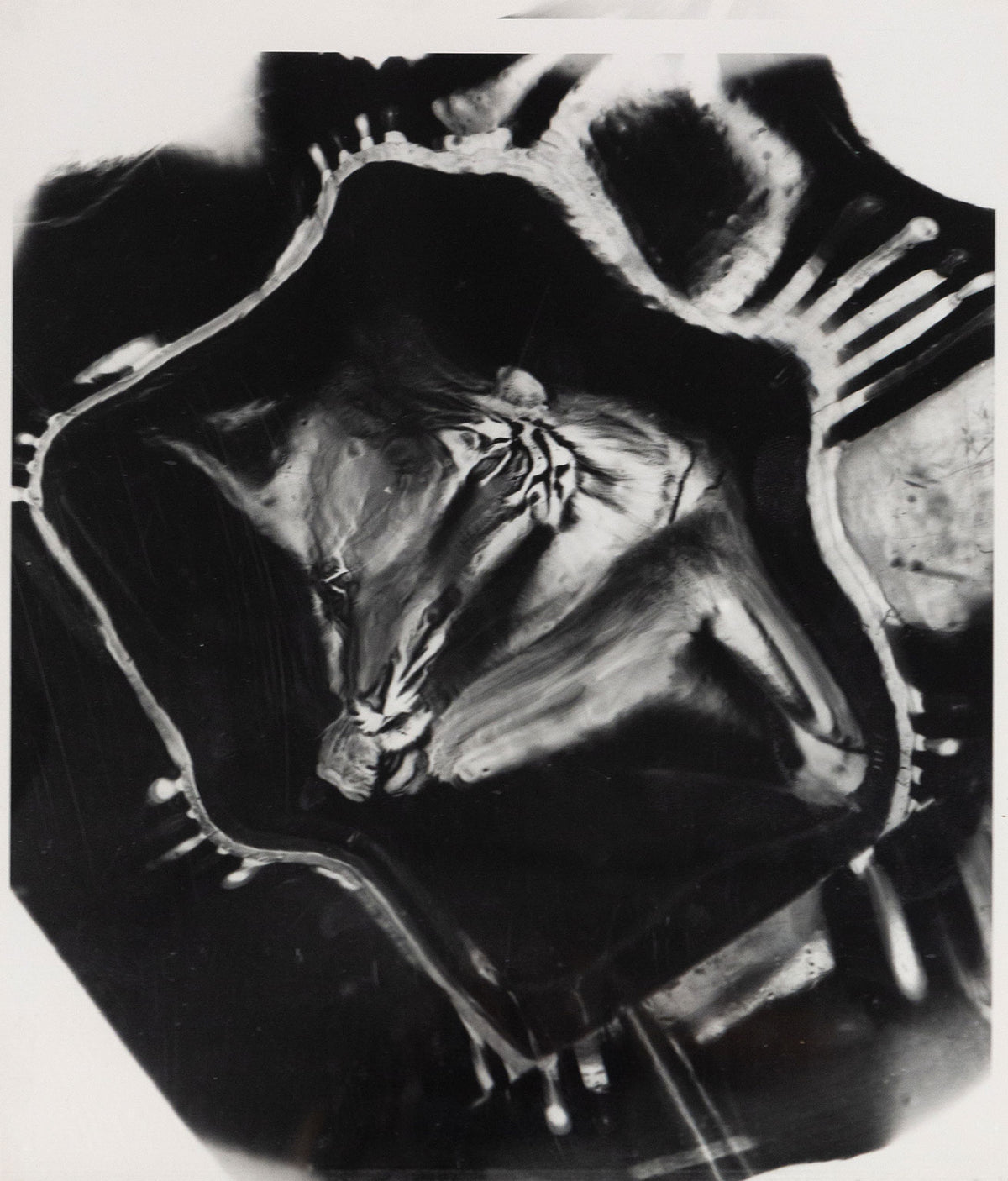 WEEGEE 