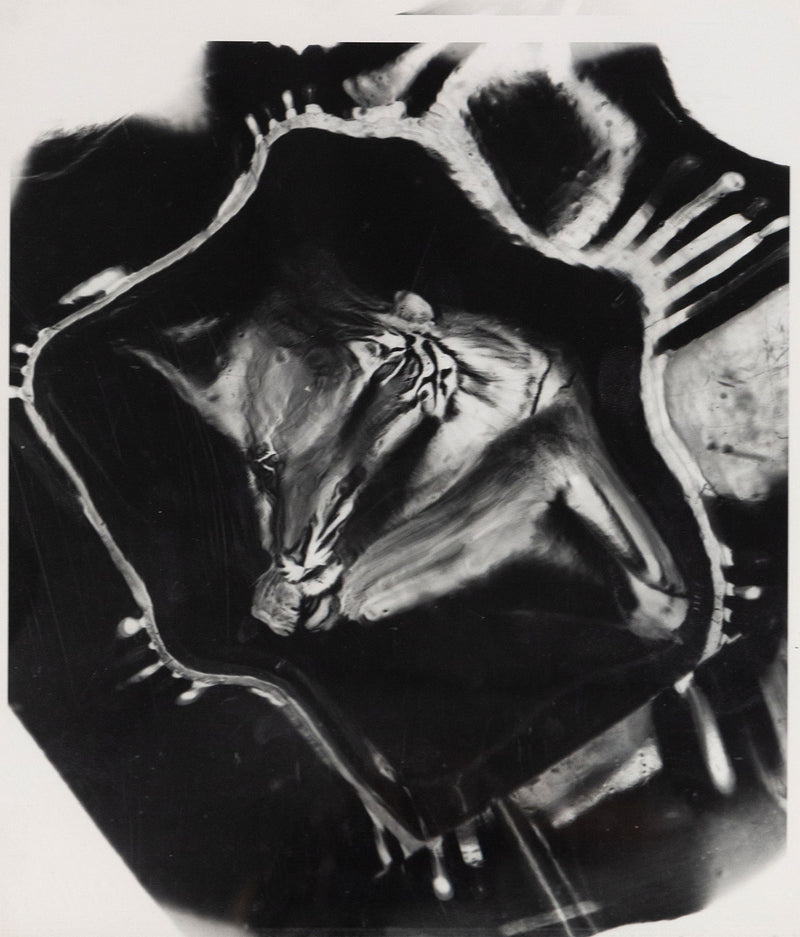 Weegee, Jumping Tiger, Silver Gelatin Print, c.1950, Caviar20