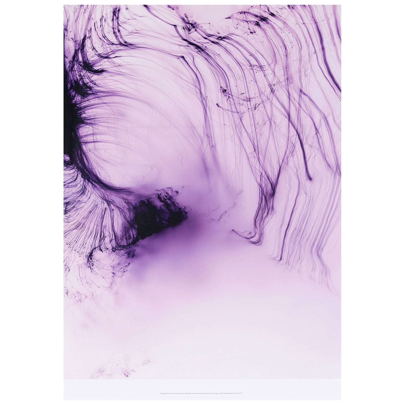 WOLFGANG TILLMANS 