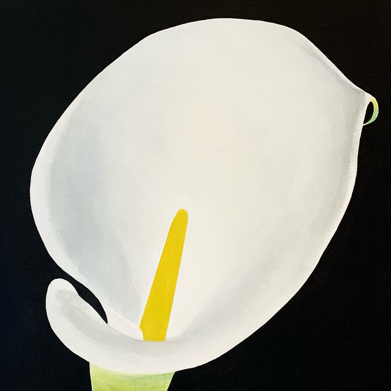 CHARLES PACHTER "CALLA LILY" ACRYLIC ON CANVAS, 2021