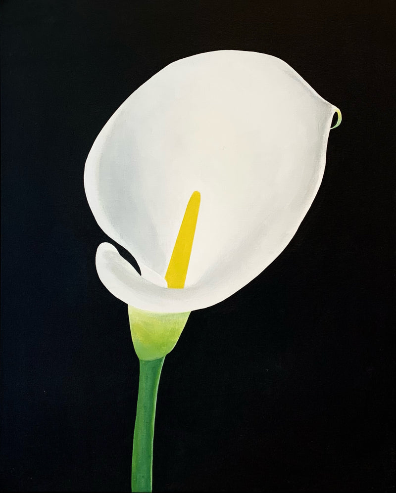 CHARLES PACHTER "CALLA LILY" ACRYLIC ON CANVAS, 2021