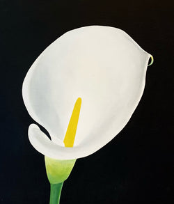 CHARLES PACHTER "CALLA LILY" ACRYLIC ON CANVAS, 2021