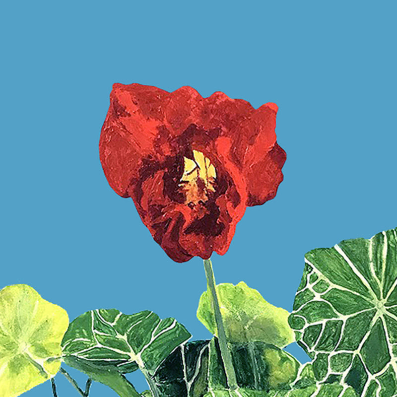 CHARLES PACHTER "NASTURTIUM" ACRYLIC ON CANVAS, 2020