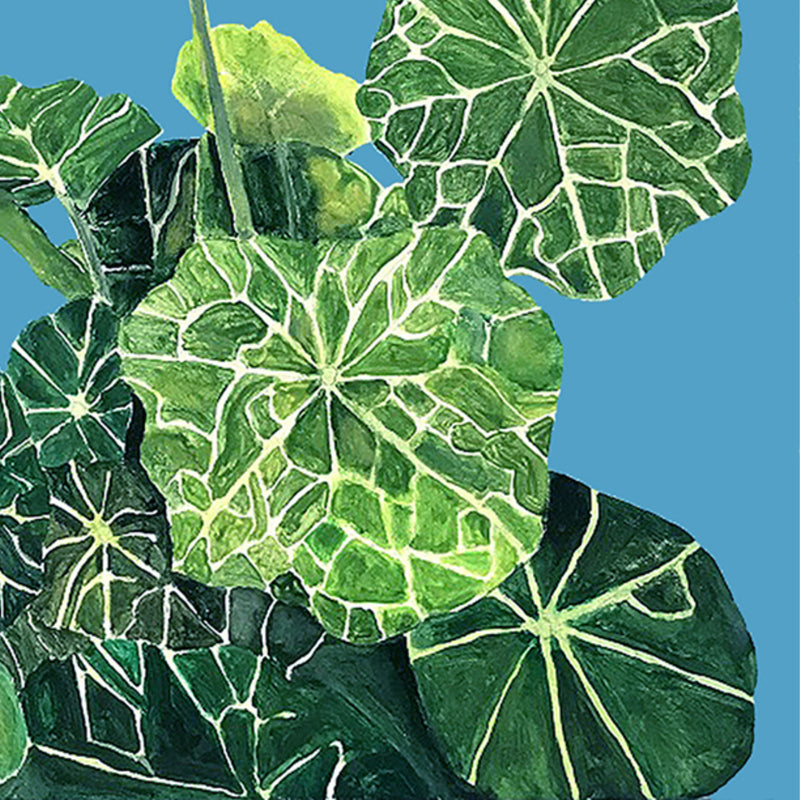 CHARLES PACHTER "NASTURTIUM" ACRYLIC ON CANVAS, 2020