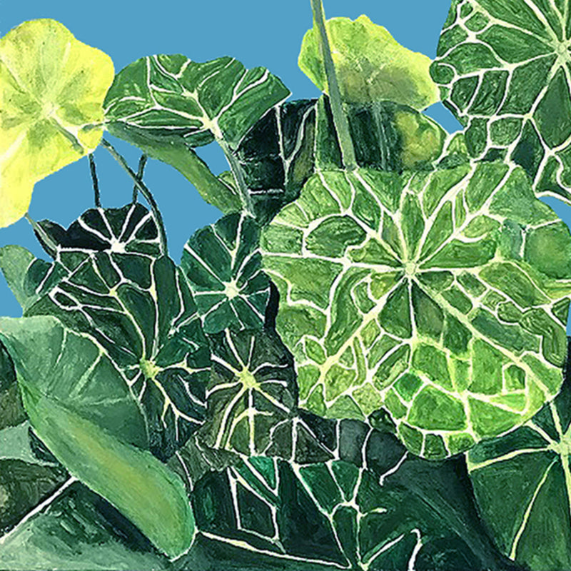 CHARLES PACHTER "NASTURTIUM" ACRYLIC ON CANVAS, 2020