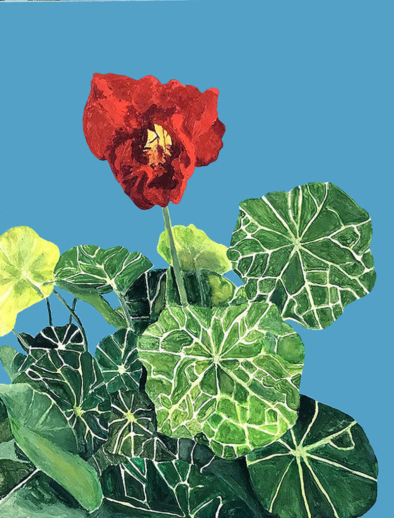 CHARLES PACHTER "NASTURTIUM" ACRYLIC ON CANVAS, 2020