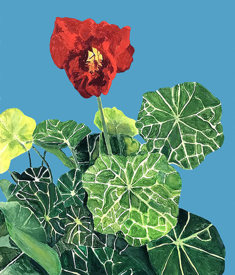 CHARLES PACHTER "NASTURTIUM" ACRYLIC ON CANVAS, 2020