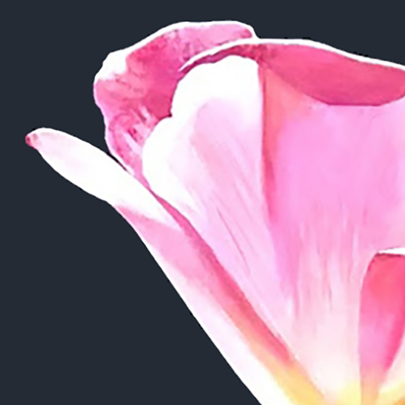 CHARLES PACHTER "PINK TULIP" ACRYLIC ON CANVAS, 2021