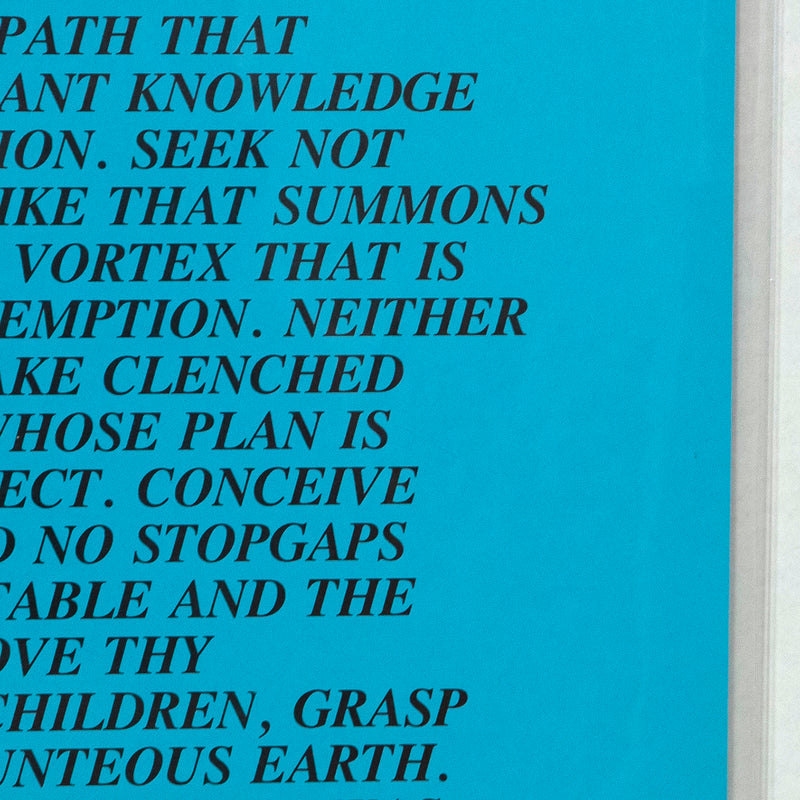Jenny Holzer, Mortal Eyes, Inflammatory Essay, Documenta 1982, Caviar20, prints