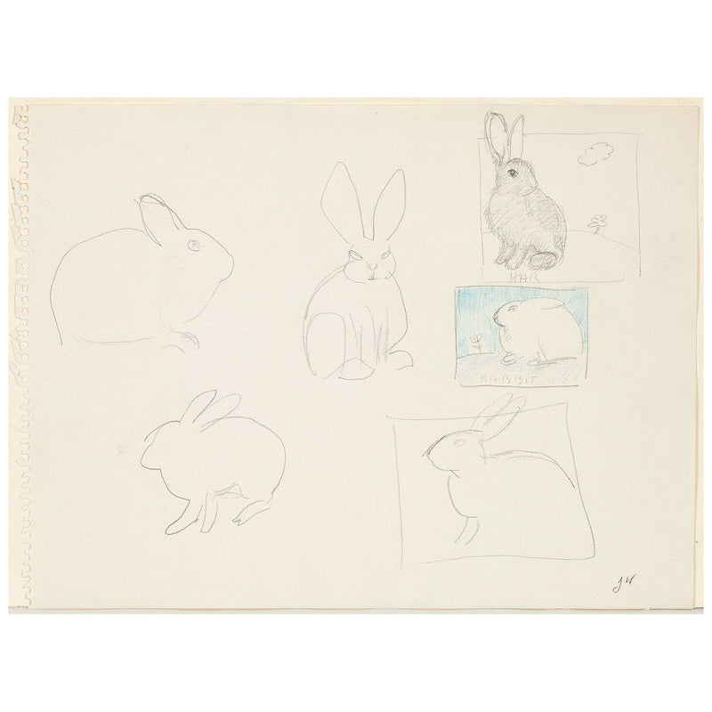 Joyce Wieland drawing Caviar20