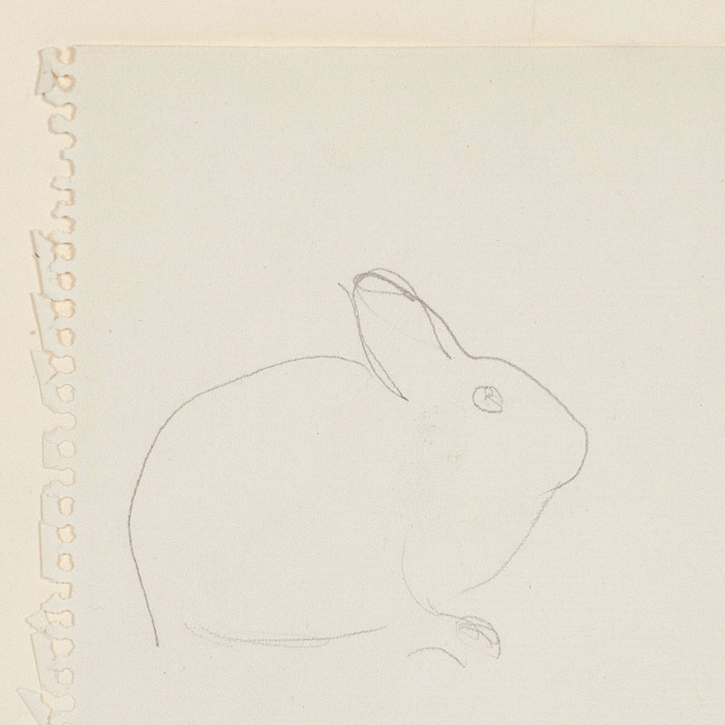Joyce Wieland bunnies works on paper Caviar20