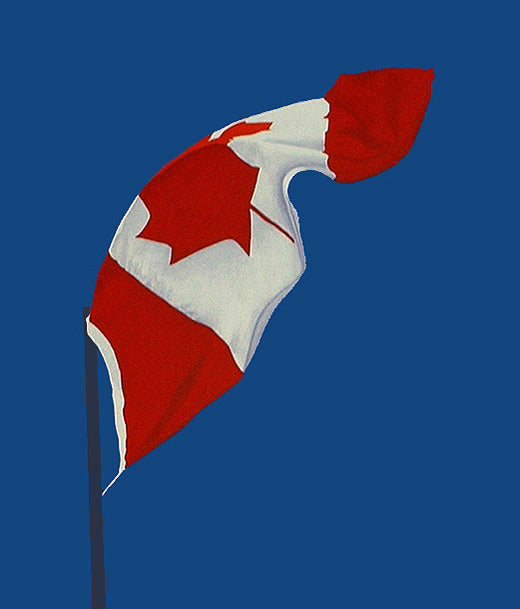 CHARLES PACHTER "PAINTED FLAG: VERTICAL BLUE" 1987