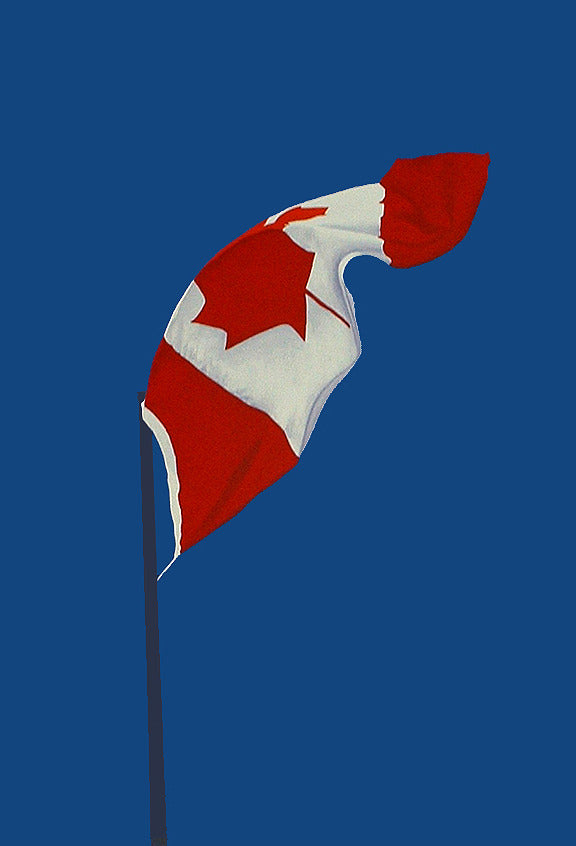 CHARLES PACHTER "PAINTED FLAG: VERTICAL BLUE" 1987